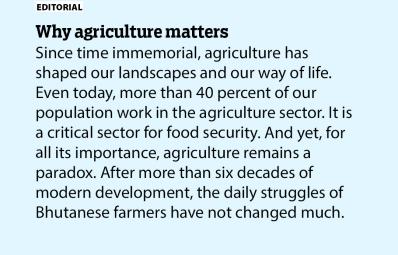 Why agriculture matters