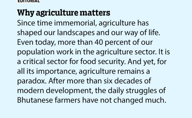 Why agriculture matters