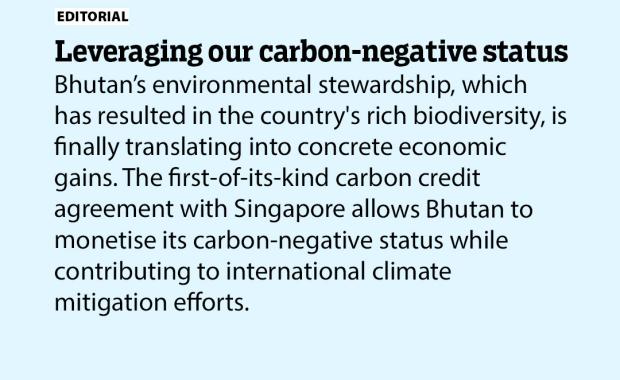 Leveraging our carbon-negative status