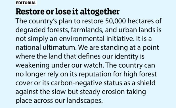 Restore or lose it altogether