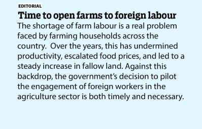Time to open farms to foreign labour
