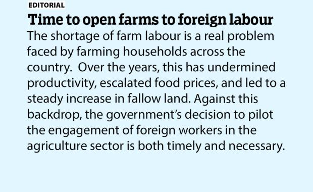 Time to open farms to foreign labour