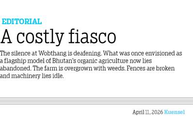 A costly fiasco