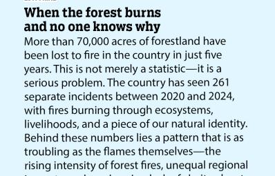 When the forest burns and no one knows why