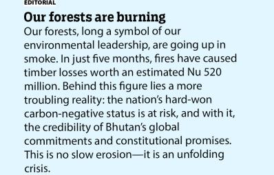 Our forests are burning