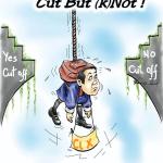 The Snake Year brings shifts in learning