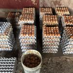 Egg shortages: A crisis seeded months ago