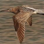 After the last sighting