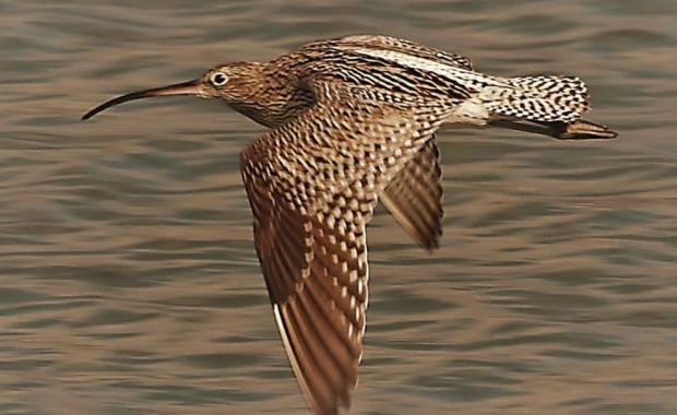 After the last sighting