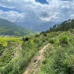 Happiness cut short for The Happiness Farm