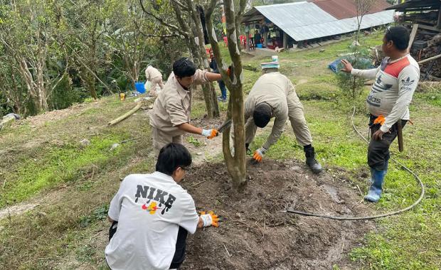 Mega farms emerge as training hubs for modern, market-led agriculture