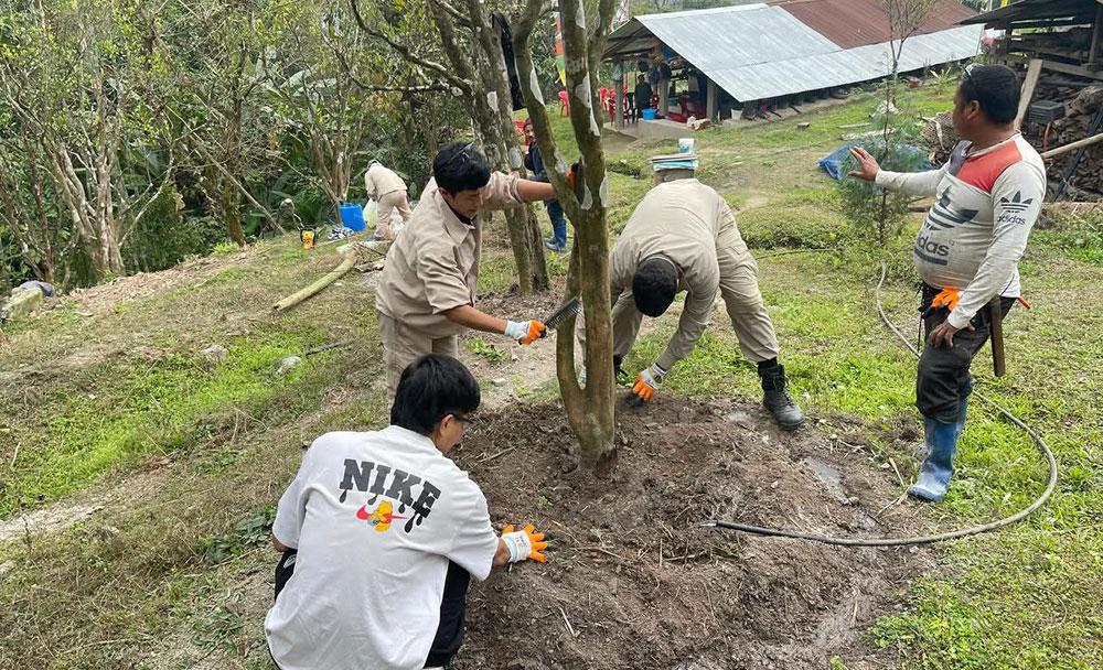 Mega farms emerge as training hubs for modern, market-led agriculture