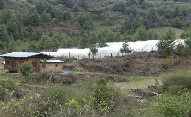 Costly experiment: Collapse of WOW farm in Wobthang