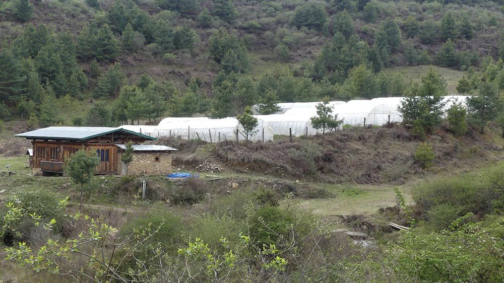 Costly experiment: Collapse of WOW farm in Wobthang