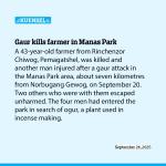 Gaur kills farmer in Manas Park