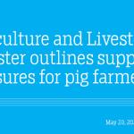Agriculture and Livestock Minister outlines support measures for pig farmers