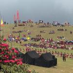 Rhododendron Festival draws larger crowds this year
