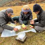 Study records over 200 native fodder species in highland rangelands