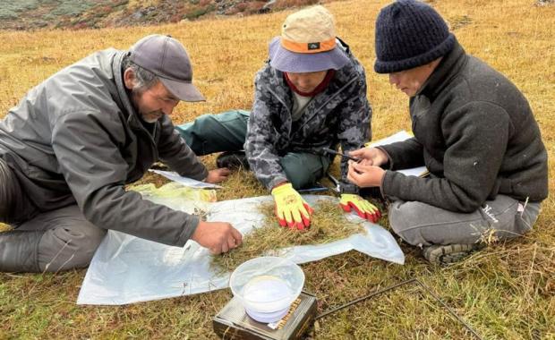 Study records over 200 native fodder species in highland rangelands