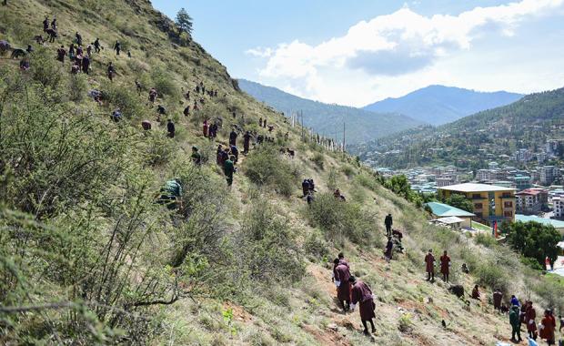 Desi High School launches five-year forest restoration project