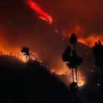 Thimphu intensifies winter wildfire defences