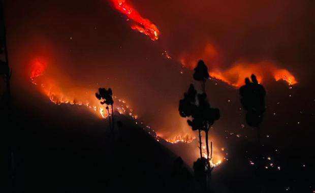 Thimphu intensifies winter wildfire defences