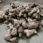 Late-season price hike drives farmers to offload unsold ginger