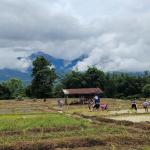 Sarpang land market picks up after seven-month slump