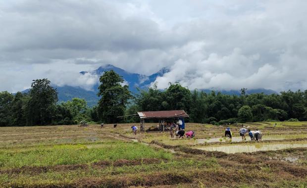 Sarpang land market picks up after seven-month slump