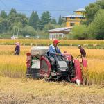Combine harvesters boost productivity but remain hard to get in Paro