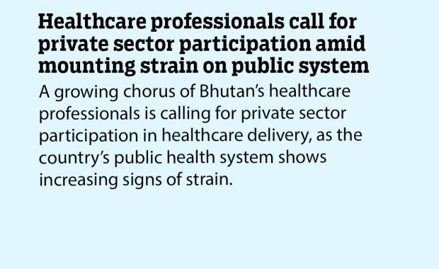 Healthcare professionals call for private sector participation amid mounting strain on public system