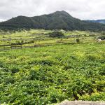 Govt. bans herbicide to achieve 100 percent organic goal