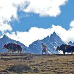 Govt. steps up efforts to improve livelihood of highlanders