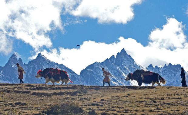 Govt. steps up efforts to improve livelihood of highlanders