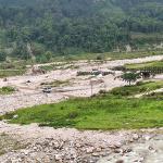 Delayed bridge reconstruction risks cutting off five gewogs in Samtse
