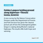 Golden Langurs holding ground along highways—Threats looms, however