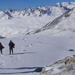 Conflict brews in the highlands over lucrative cordyceps harvest