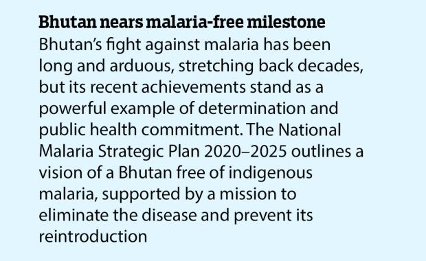 Bhutan nears malaria-free milestone
