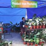 Phuentsholing begins reset with launch of farmer’s market