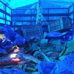 Over 400 kilograms of smuggled beef intercepted at Bumpagang checkpost