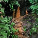Community-led medicinal bath in Tsenkhar Gewog to blend wellness, culture, and eco-tourism