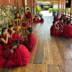 Reviving monastic discipline through foundational training