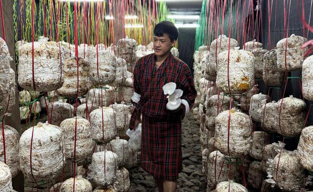 Young farmer anchors homeland with ambitious agribusiness venture