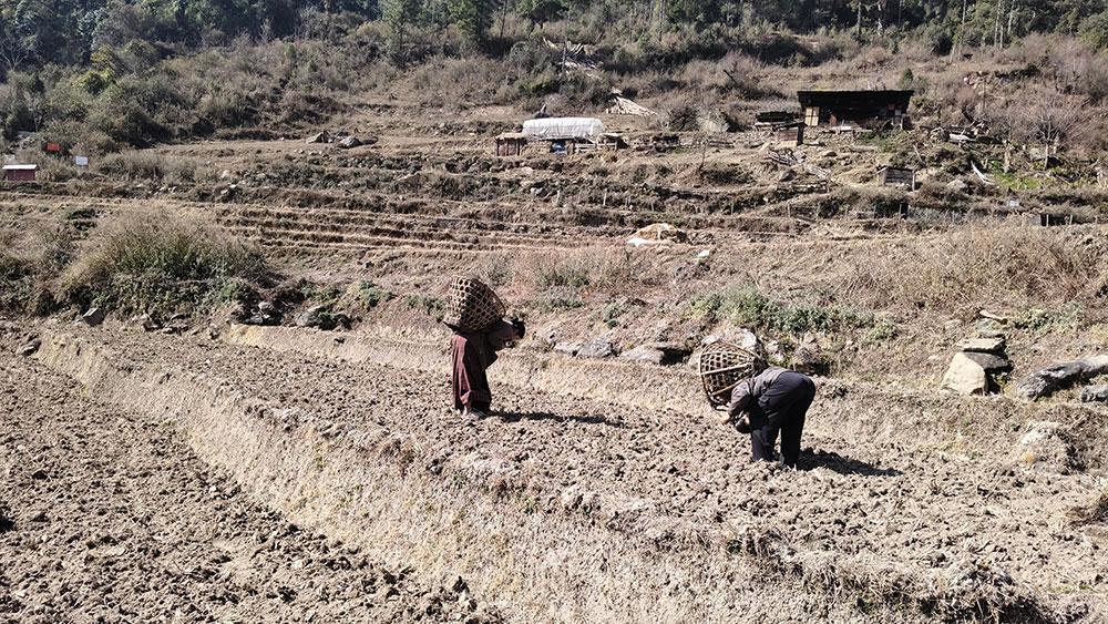 DoT bets on ‘star attractions’ to drive year-round tourism across districts