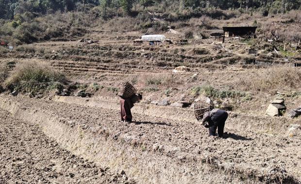 Organic project boosts yield and income in Chanachen