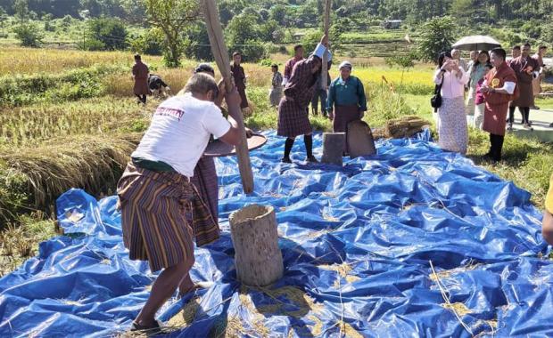 ལྟ་བཤལ་གཞི་རྟེན་ཐོག་ མི་སྡེ་གོང་འཕེལ་ལུ་ སྤ་ཆུ་གིས་ ཐོག་བསྡུ་དུས་སྟོན་བརྩི་སྲུང་།