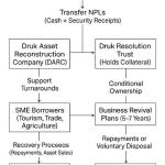 An alternative solution to resolve Bhutan’s loan crisis-The Druk Asset Reconstruction Company