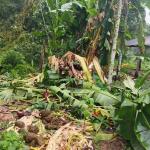 Bhutan’s frontline villages are paying the price for global conservation goals