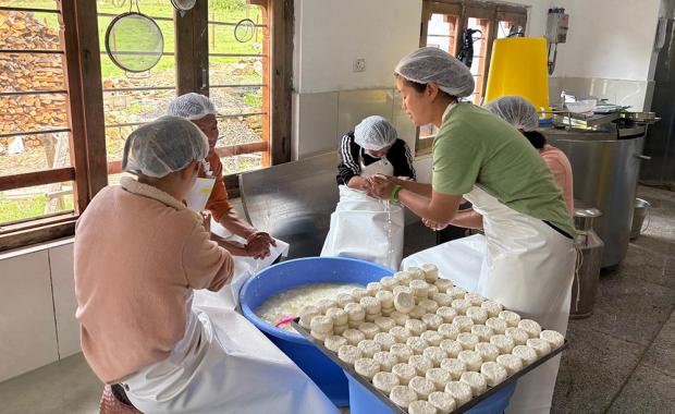Phobji’s dairy turnaround:  A valley finds stability in milk