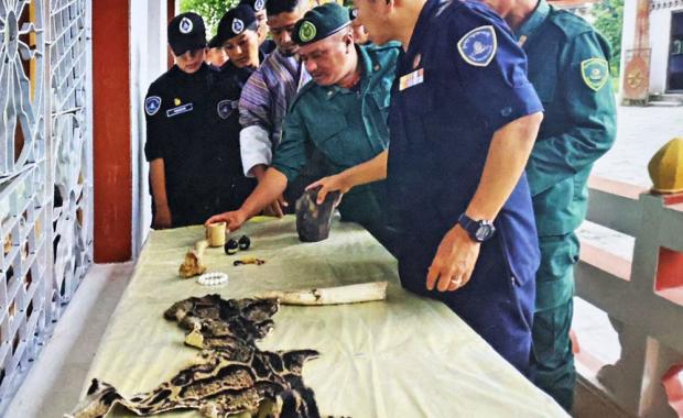 Poaching declines, but key species still under threat